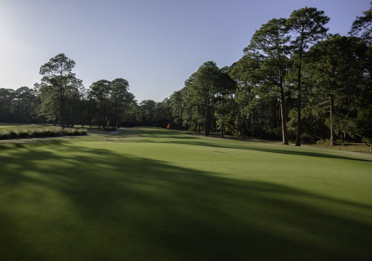 North Course, Hole 5. The broad 5th green on the North Course, pines standing guard behind it.