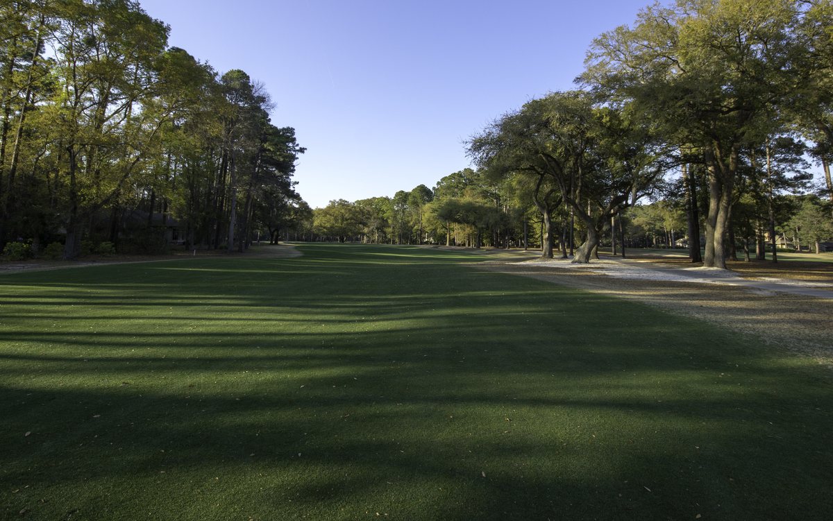 North Course, Hole 6. The 6th fairway runs straight under the oaks.