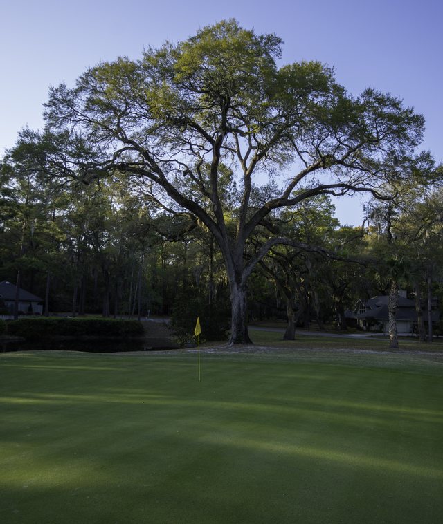 North Course, Hole 7.