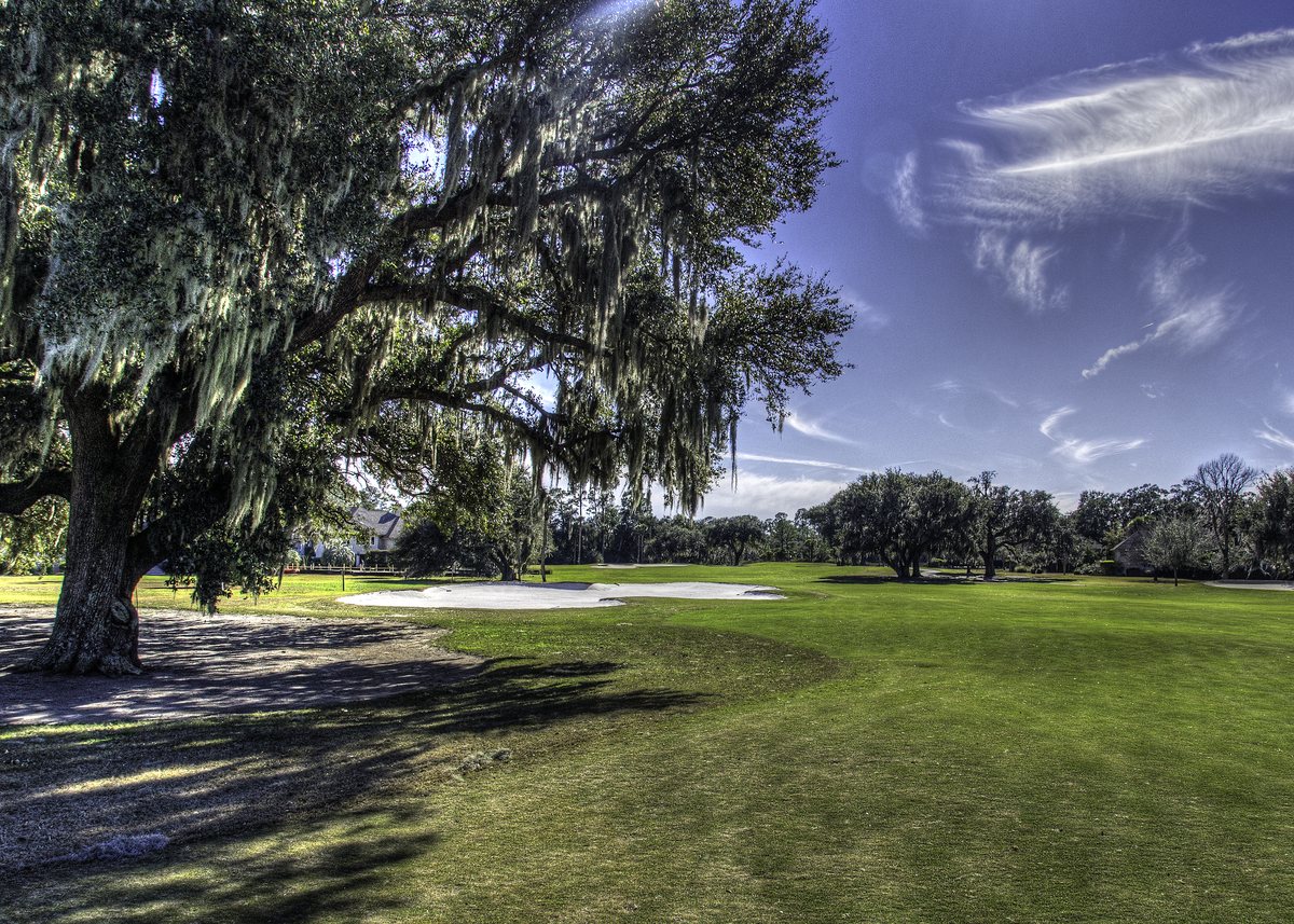 South Course, Hole 14. The par-5 14th on the South Course, its green tucked under a moss-draped oak.