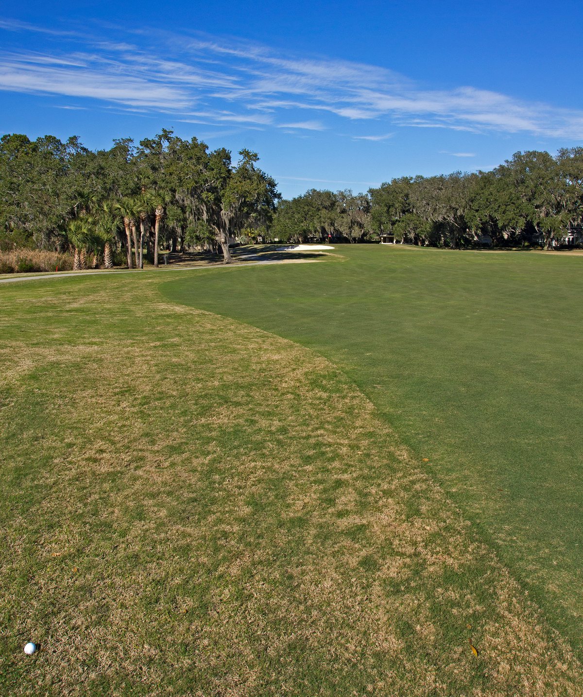 South Course, Hole 16. In the rough on the South 16th — the archive's own caption, and an honest one.