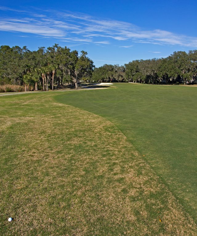 South Course, Hole 16.