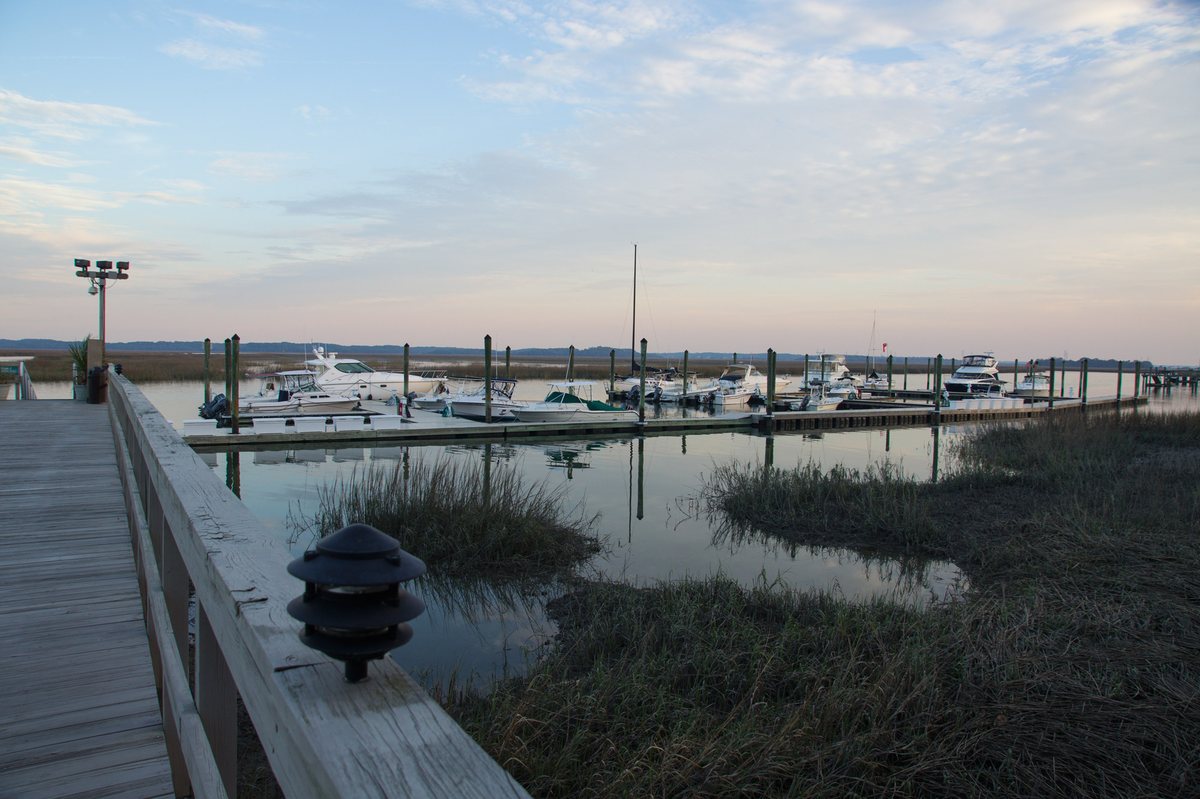 Marina at dusk. The marina from the boardwalk — marsh in front, masts behind.