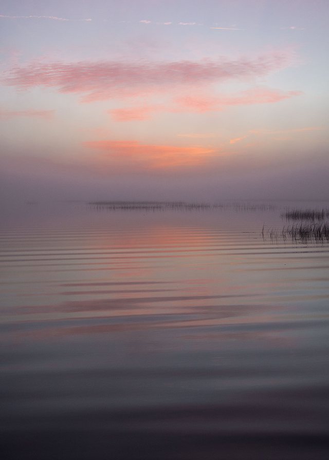 Dawn.