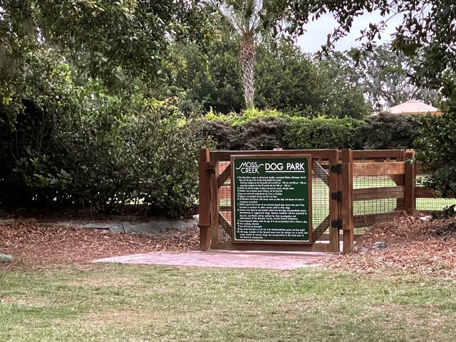 The dog park.