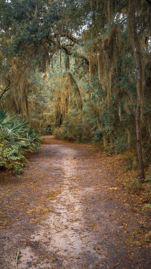 The golden trail.
