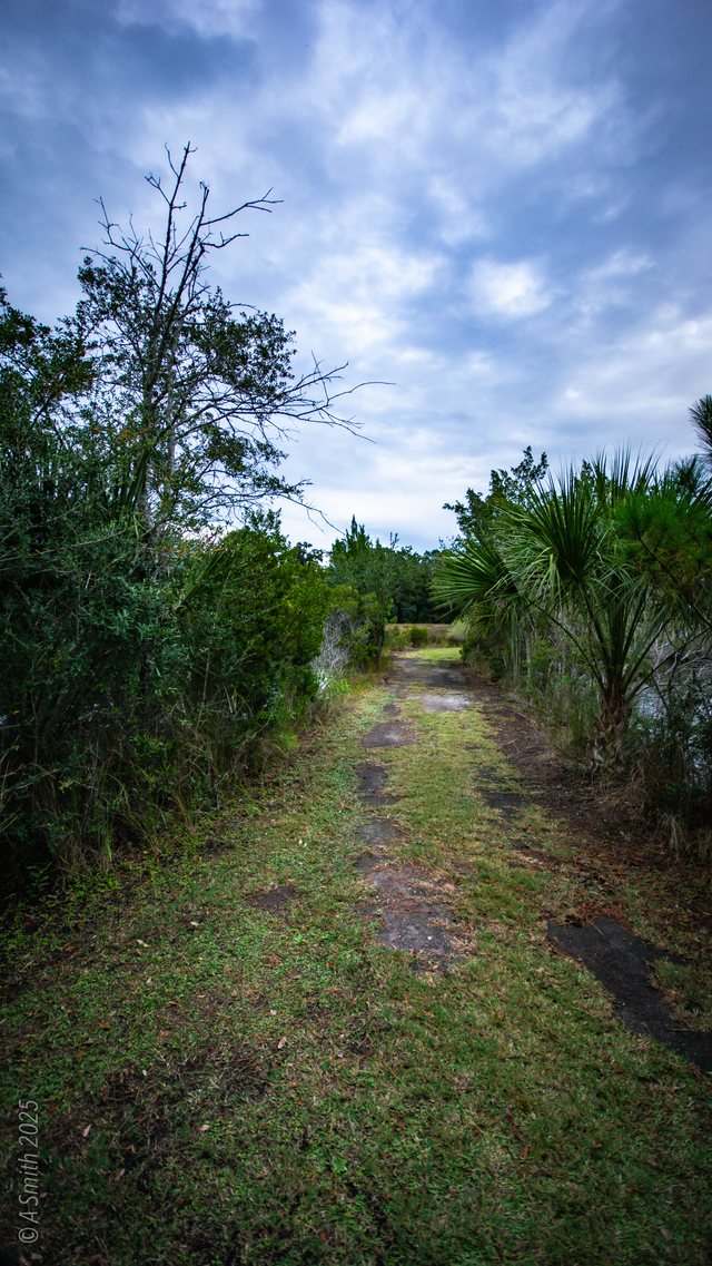 The grassy trail.