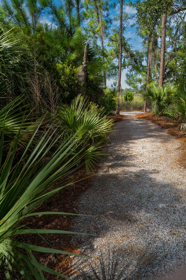 The gravel path.