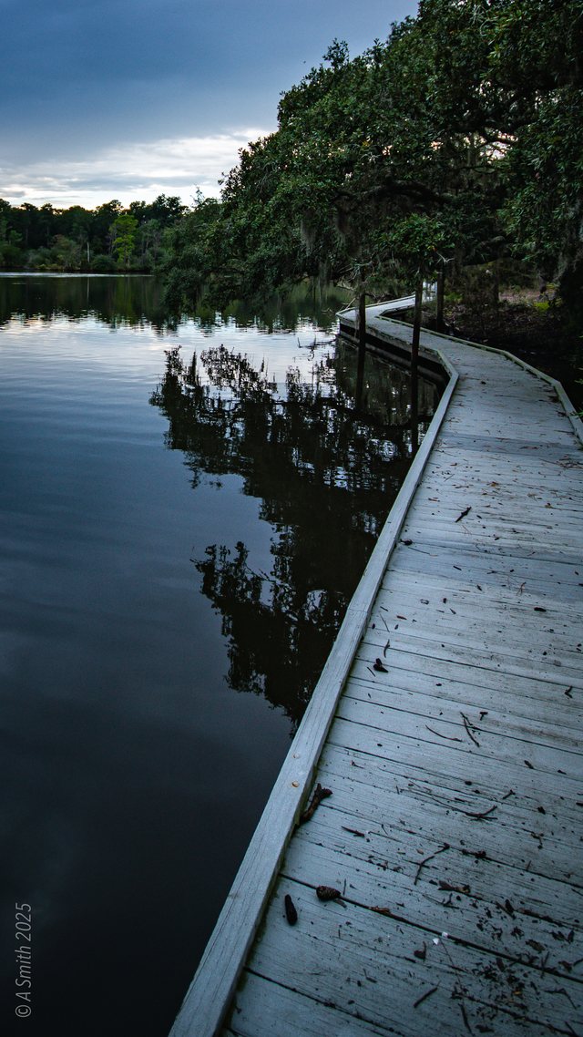 The lake boardwalk.