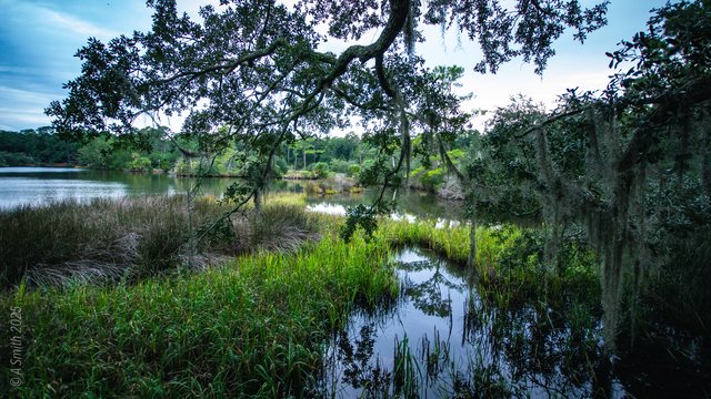 The marsh channel.