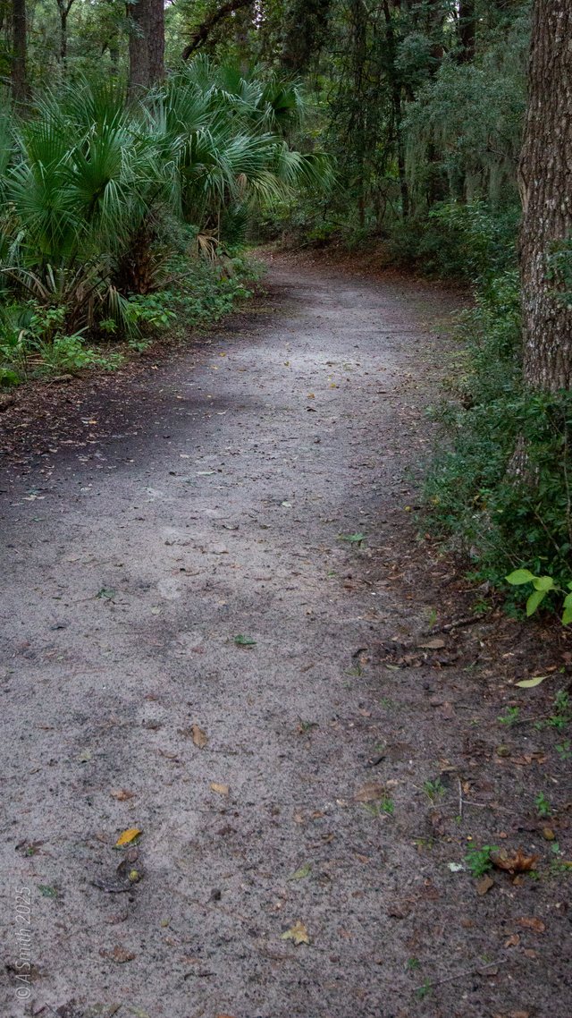 October trail.