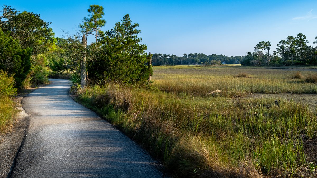 Path and marsh. The paved trail runs the edge of the marsh.