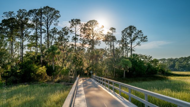 The preserve bridge.
