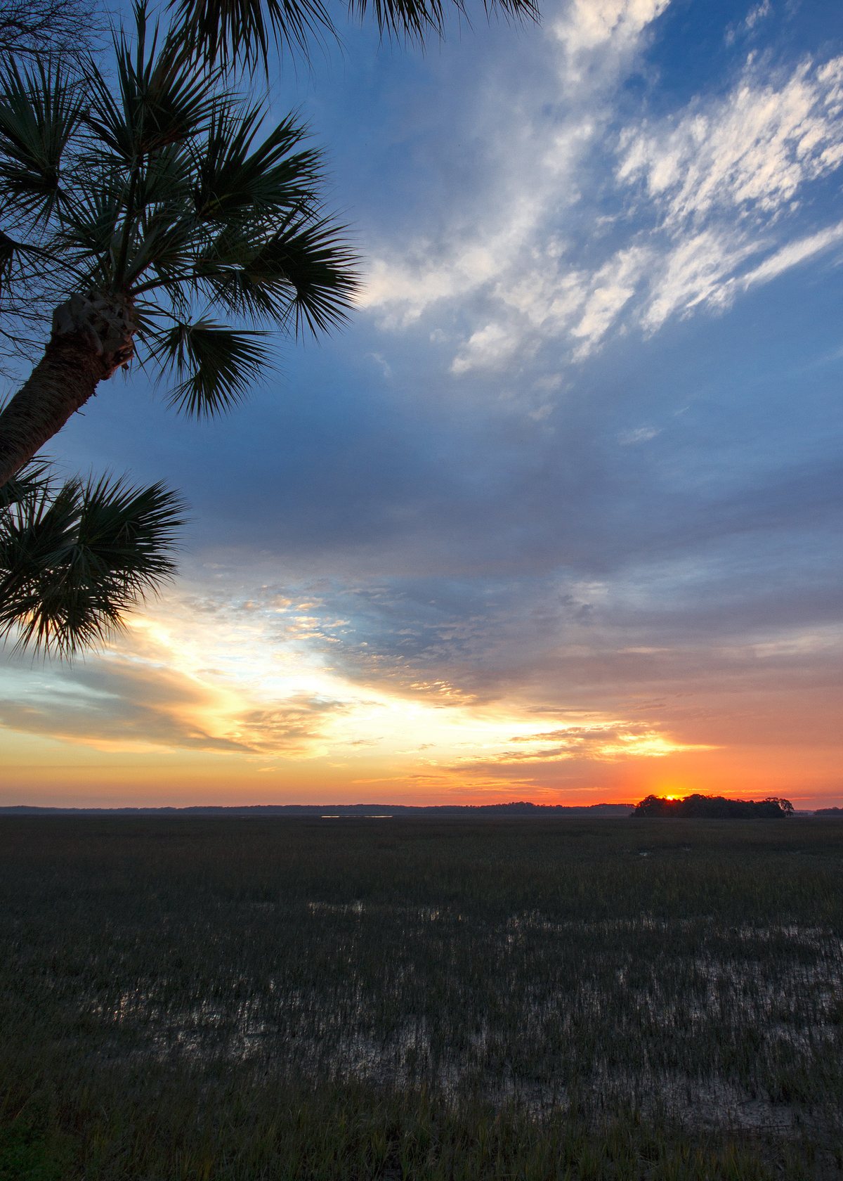 Sunrise, portrait. Another February sunrise — the marsh keeps a schedule.