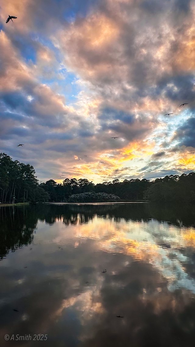 Sunset, with birds.