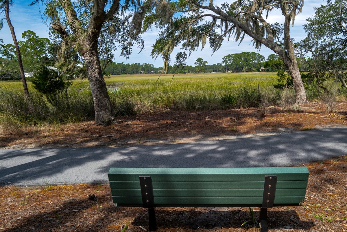 The bench. A green bench faces the marsh — sit a while.
