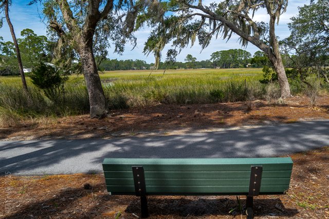 The bench.