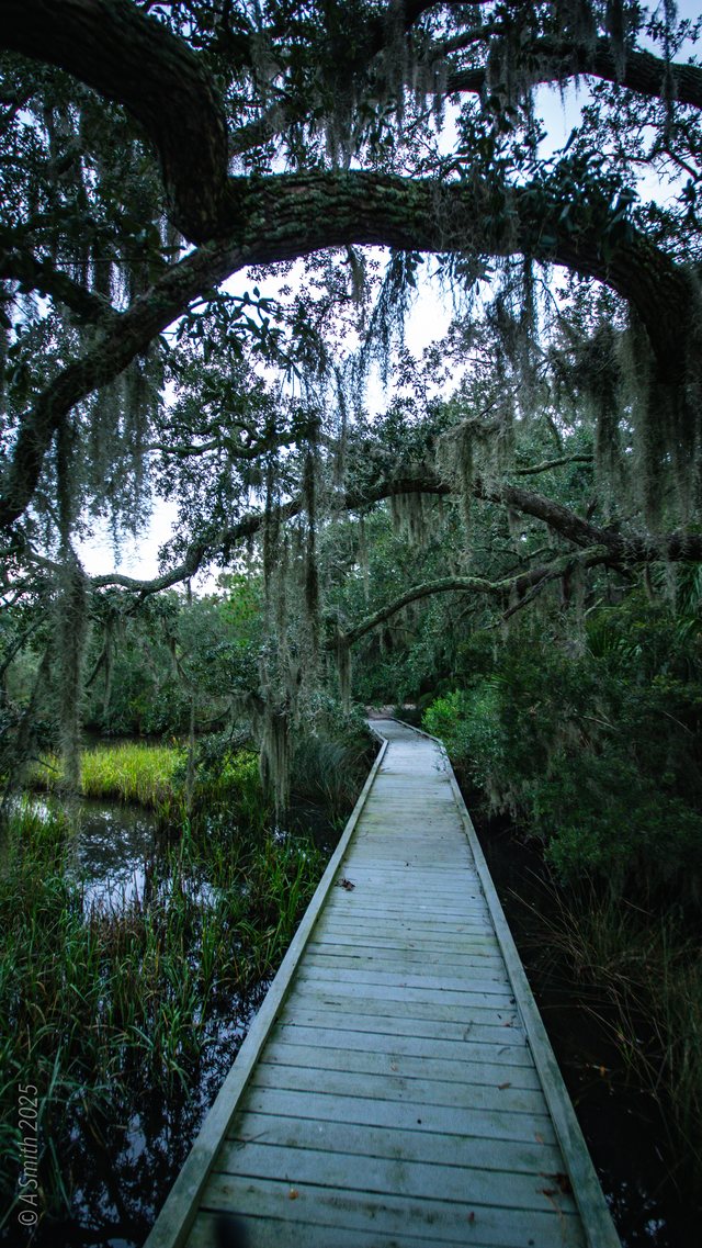 The boardwalk.