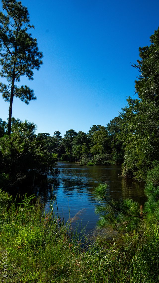 The creek.