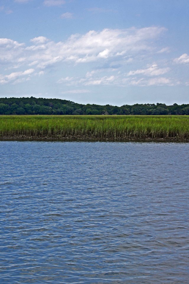 The marsh.