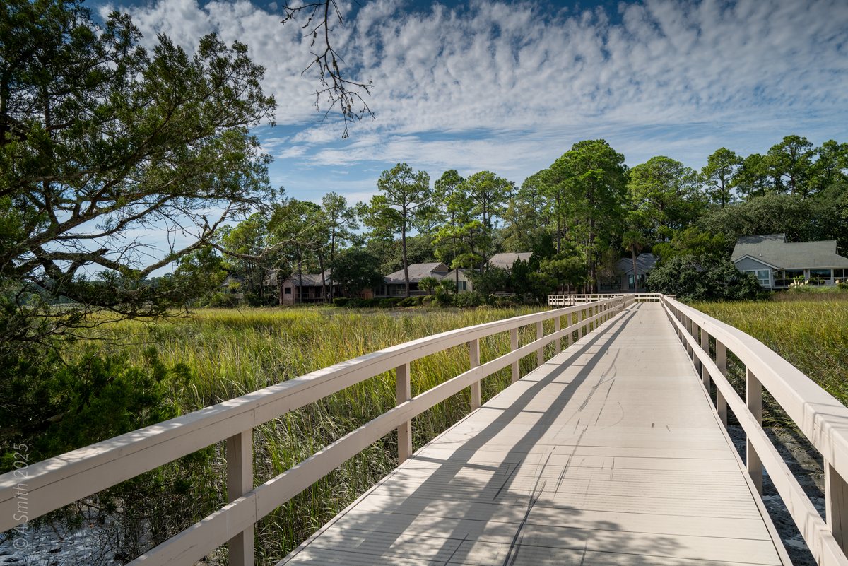 The white bridge. The preserve's white bridge crosses the marsh.