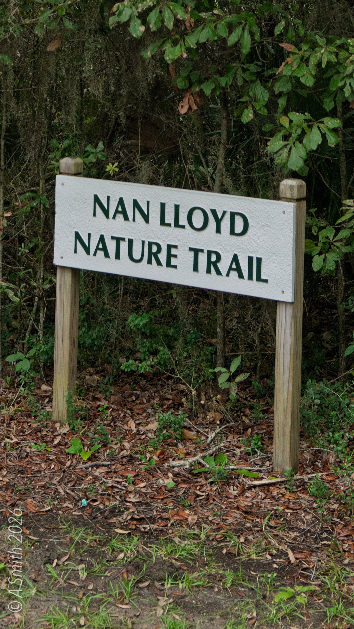 The sign. The trail’s namesake sign — Nan Lloyd’s name marks the path.