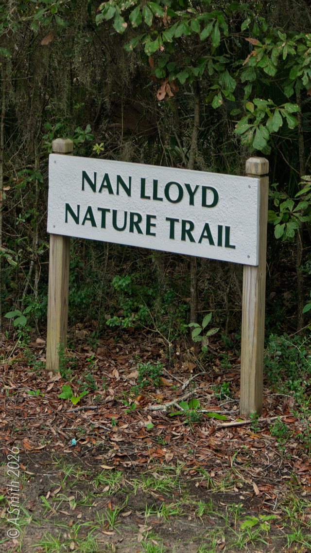 The sign.