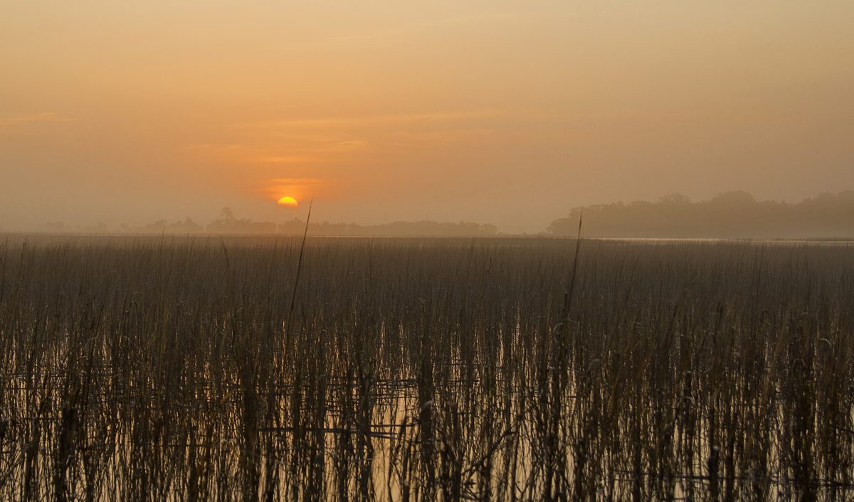 Sunrise glowing orange through haze over a marsh of dark cordgrass on Mackay Creek
