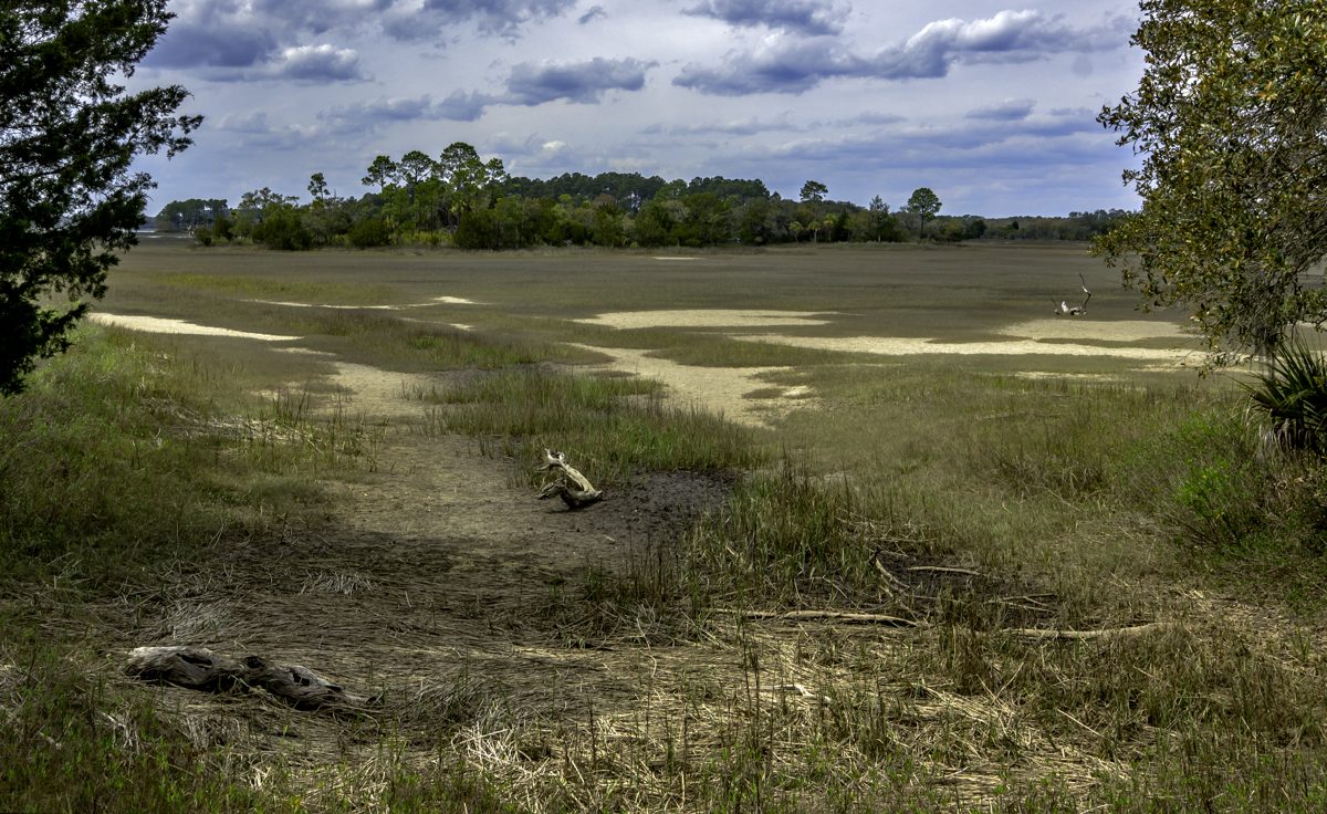 A wide salt marsh flat at low tide under a cloudy sky, tree line in the distance
