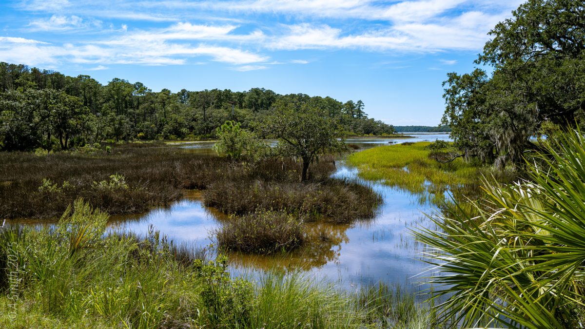 A tidal creek winding through green salt marsh on Pinckney Island under a blue sky