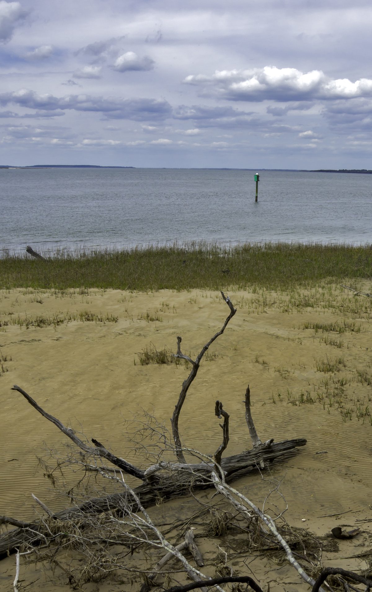 Sandy shore with driftwood at White's Point, looking across Skull Creek toward Port Royal Sound