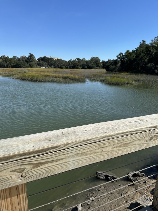 Marsh from the rail.