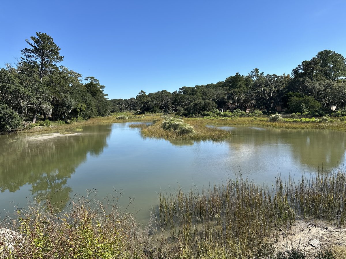 Still water. A tidal creek folding through the marsh grass.