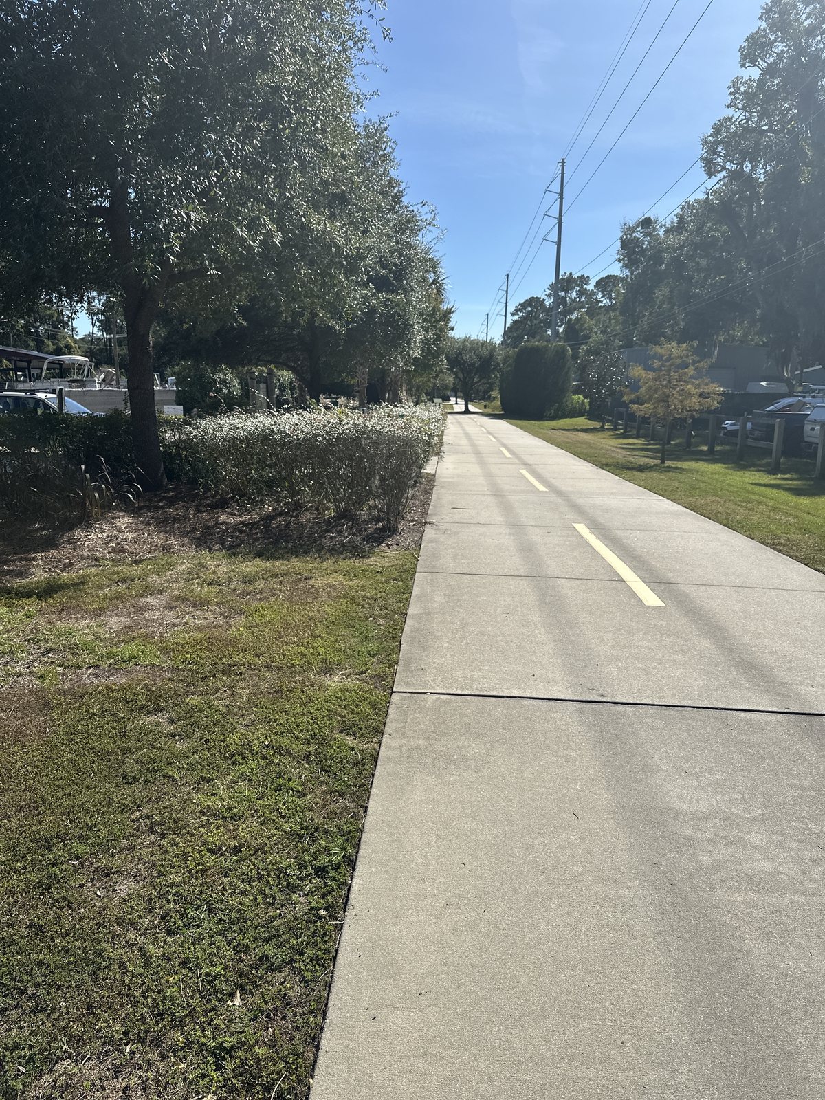 Straight and shaded. The paved line running south under the trees.