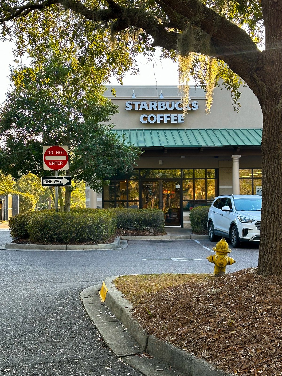 Starbucks Coffee from the drive lane — the storefront framed by oaks, a yellow hydrant in front