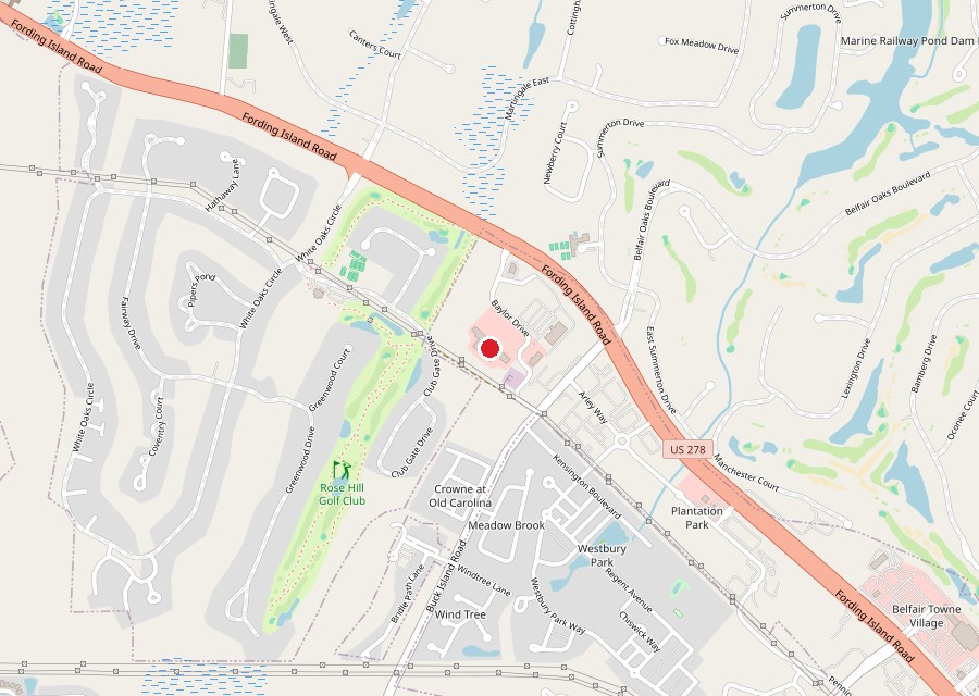 Map of VN Pho in the Publix center at Rose Hill in Bluffton