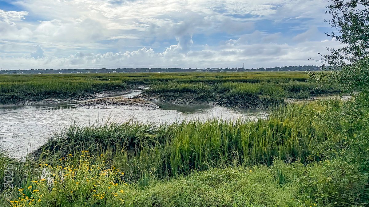 Open marsh. Creek and cordgrass under a wide October sky.