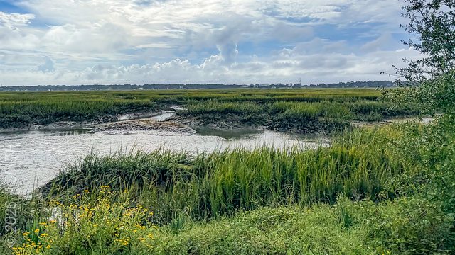 Open marsh.