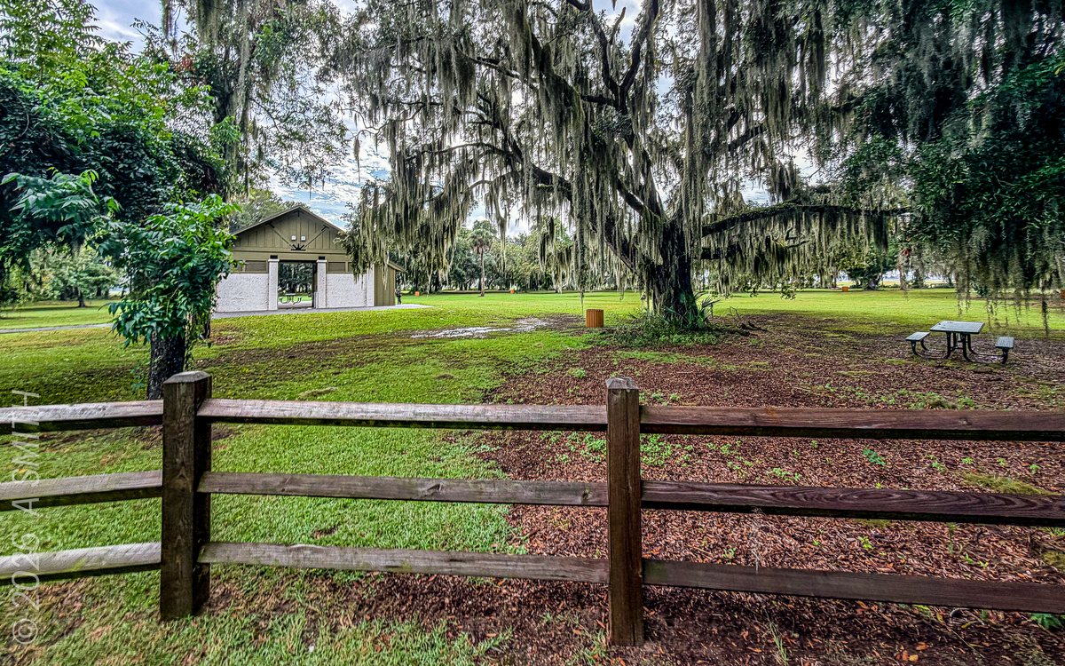 The park green. Lawn, split-rail fence and the little park building under the oaks.