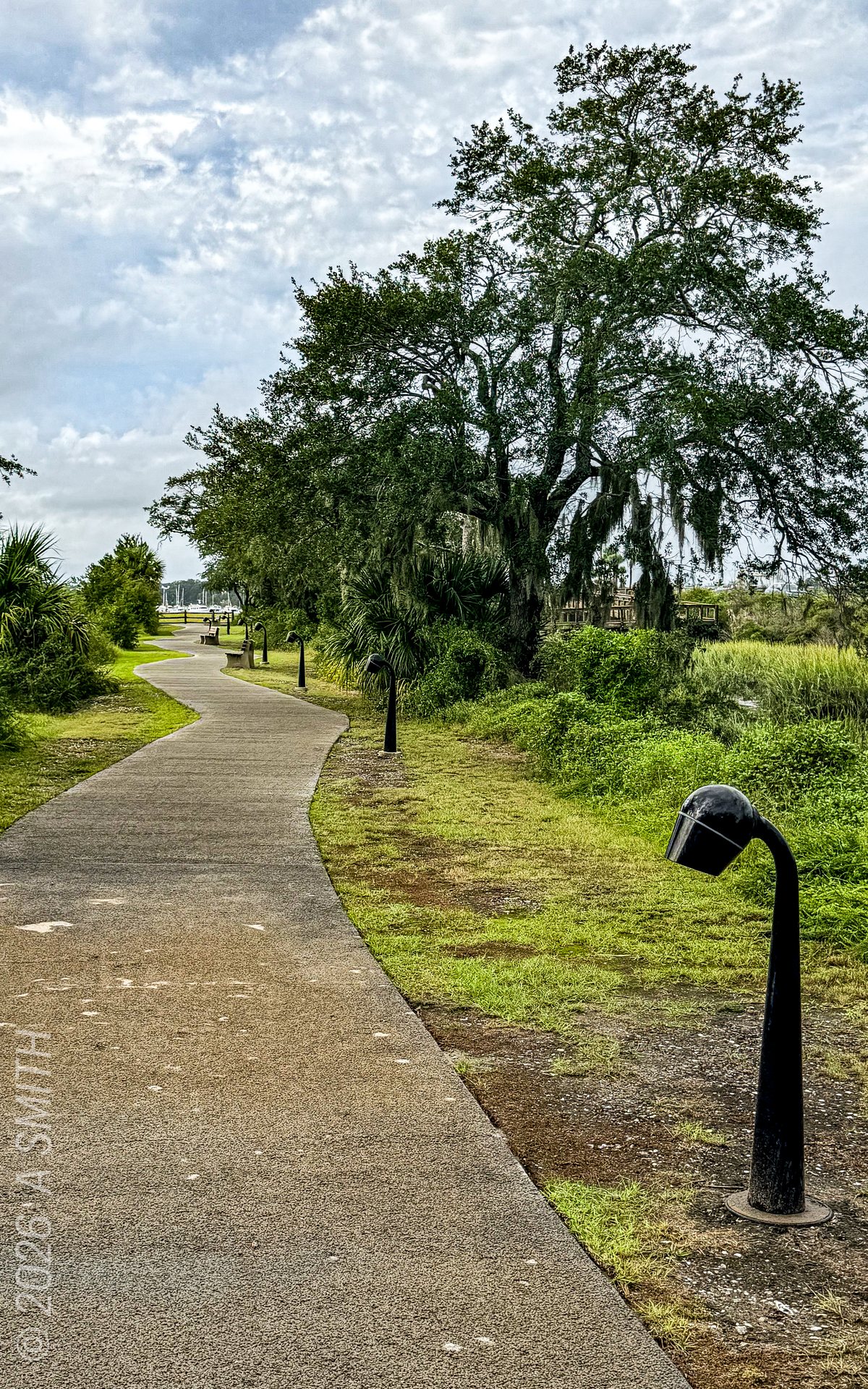 The walkway. Paved path and lampposts along the grass.