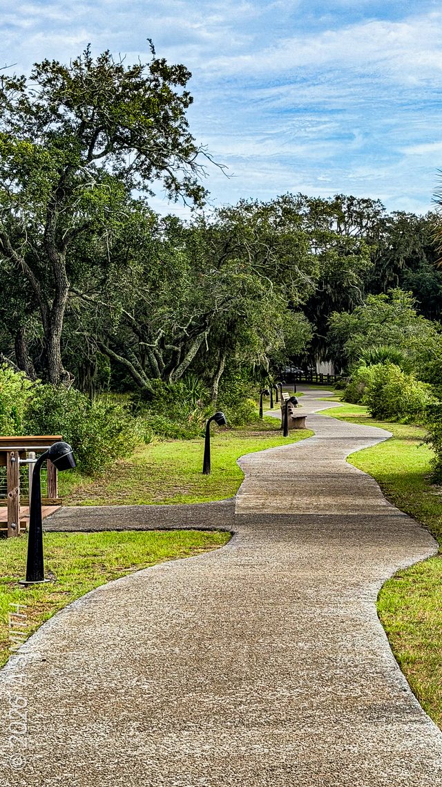 The winding path.